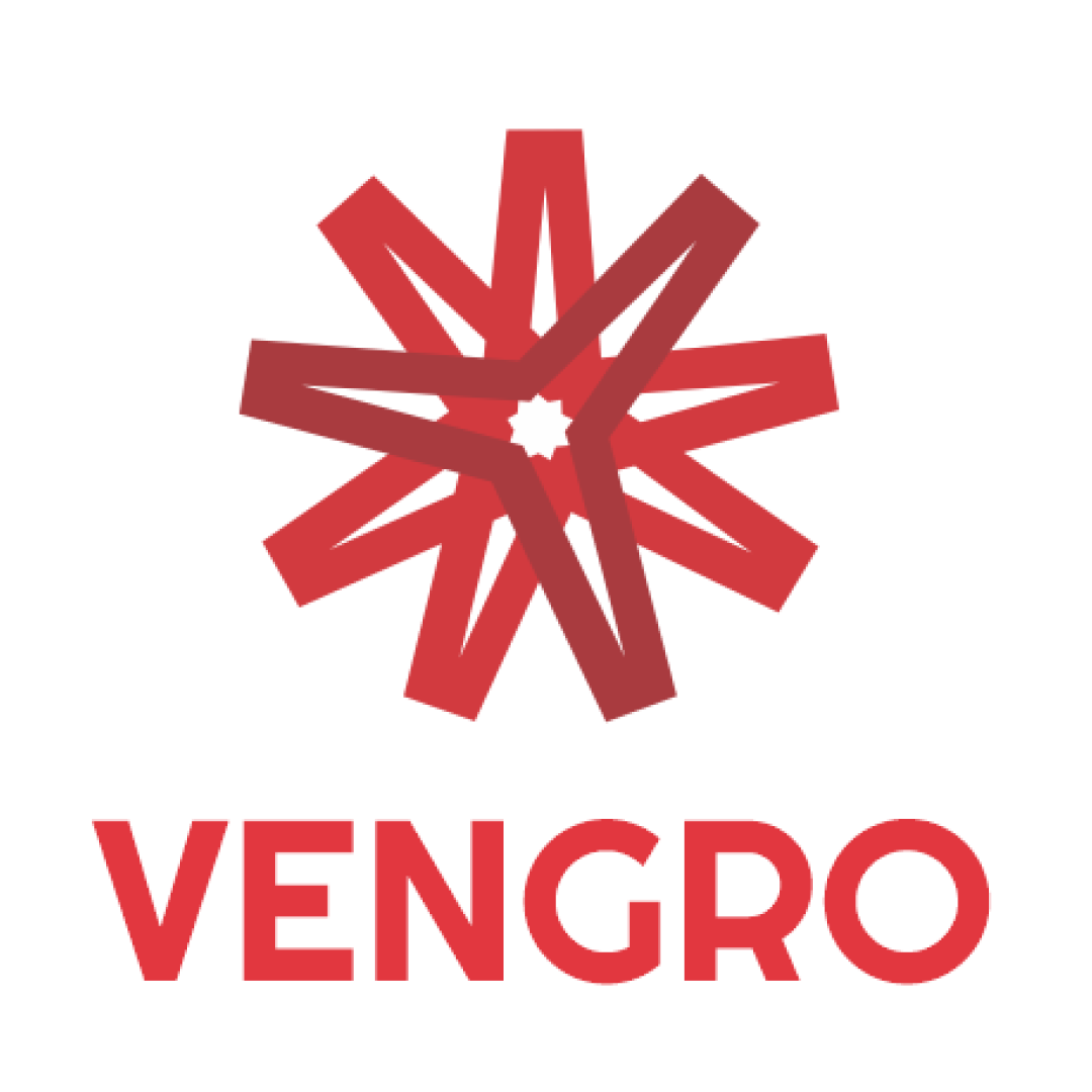 vengro consulting